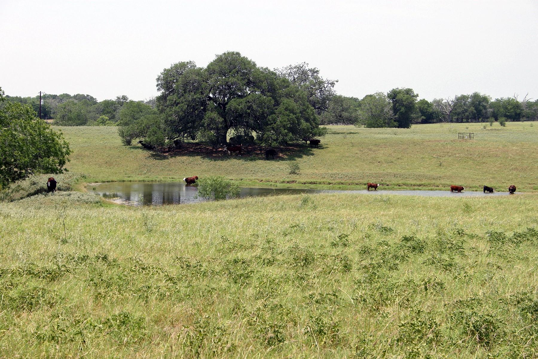 319 R C Lane Lockhart TX 78644