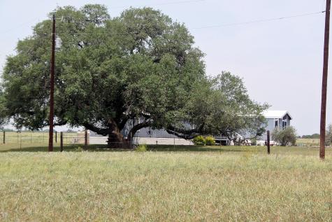 319 R C Lane Lockhart TX 78644