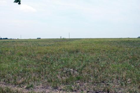 319 R C Lane Lockhart TX 78644