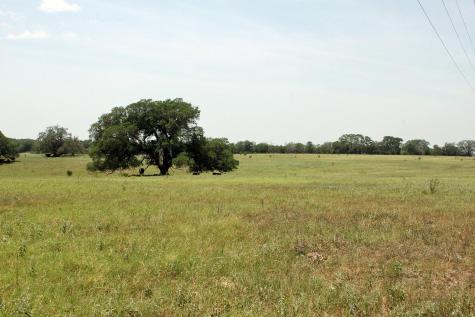 319 R C Lane Lockhart TX 78644