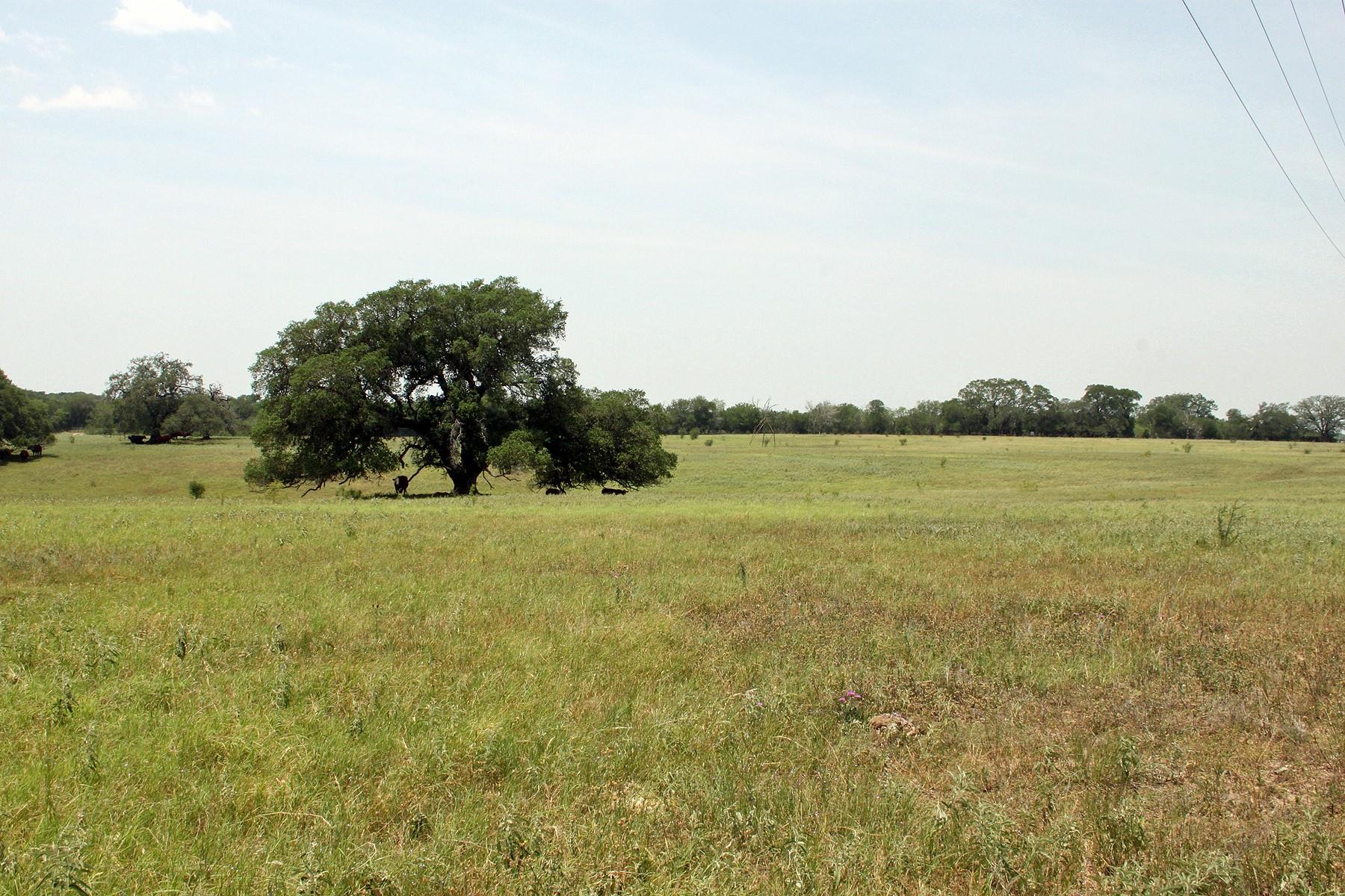 319 R C Lane Lockhart TX 78644