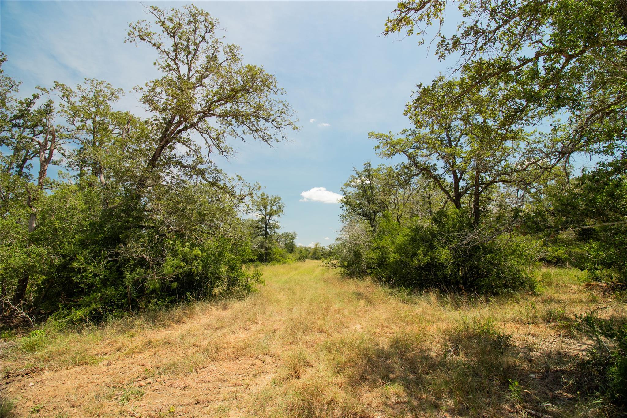 2564 Bluestem Crest Lane Kingsbury TX 78638
