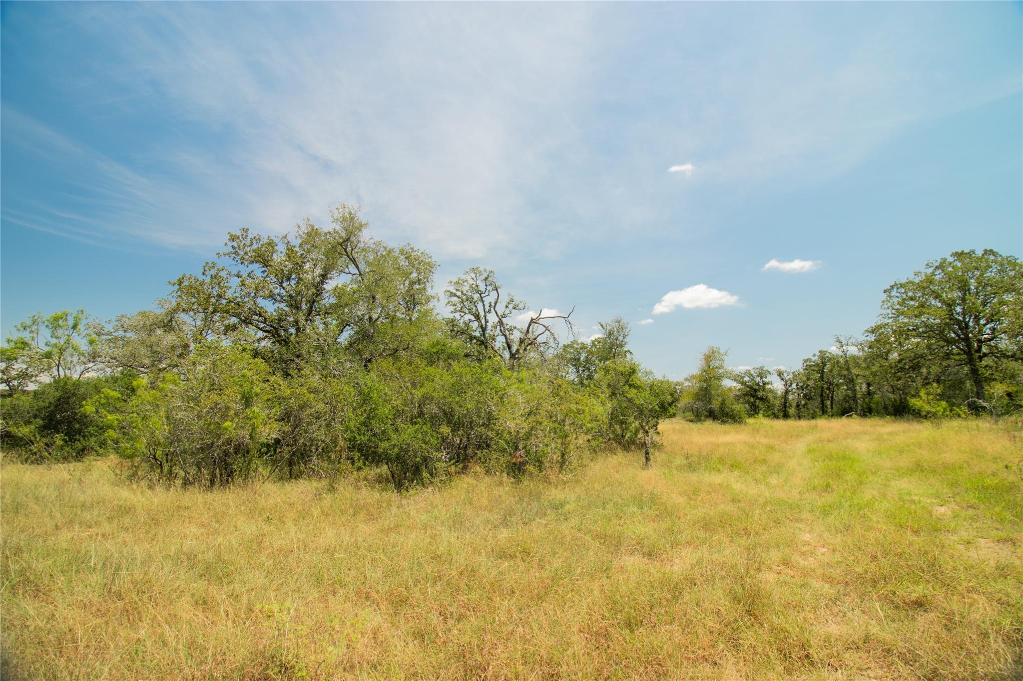 2564 Bluestem Crest Lane Kingsbury TX 78638