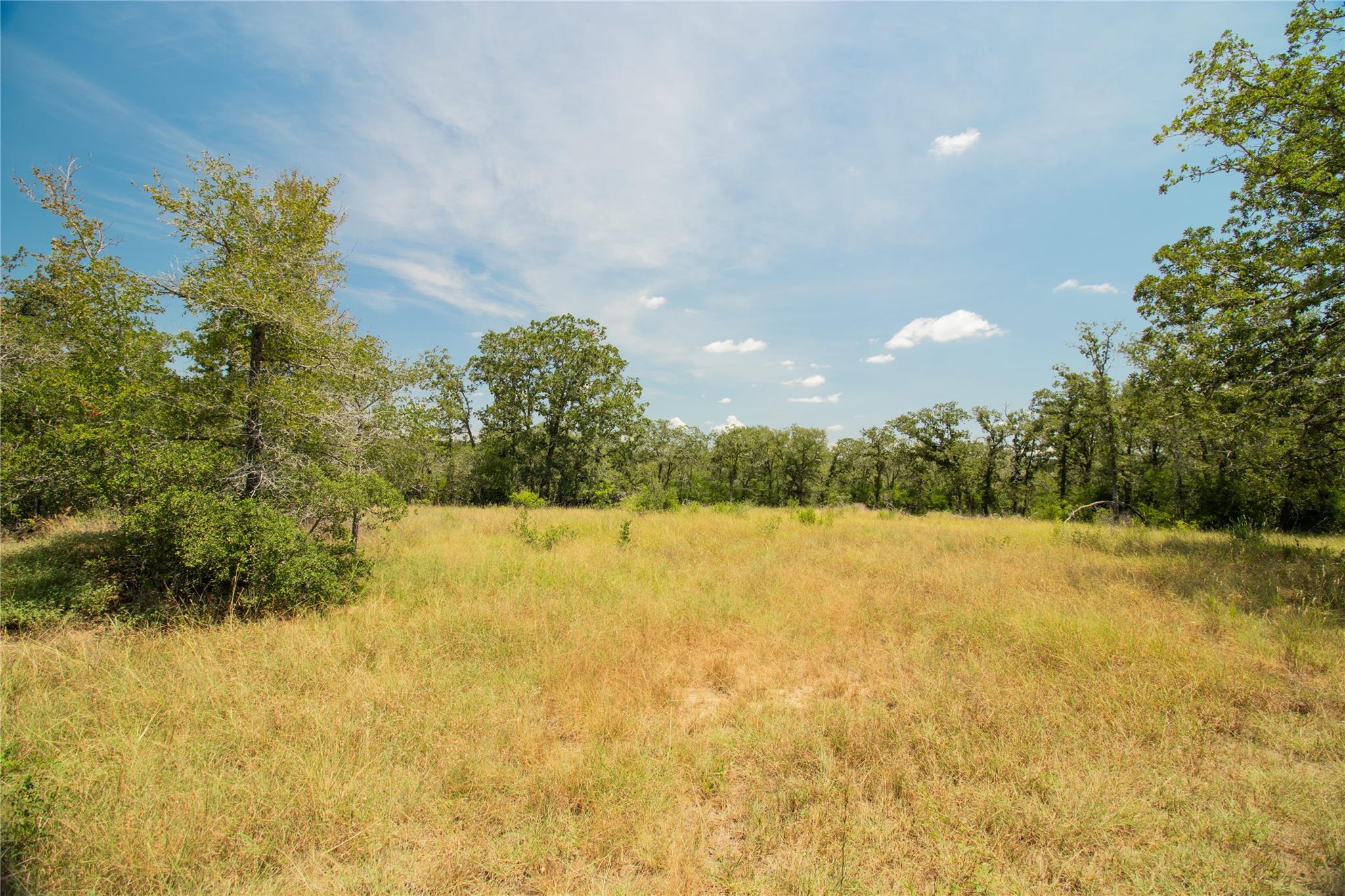 2564 Bluestem Crest Lane Kingsbury TX 78638