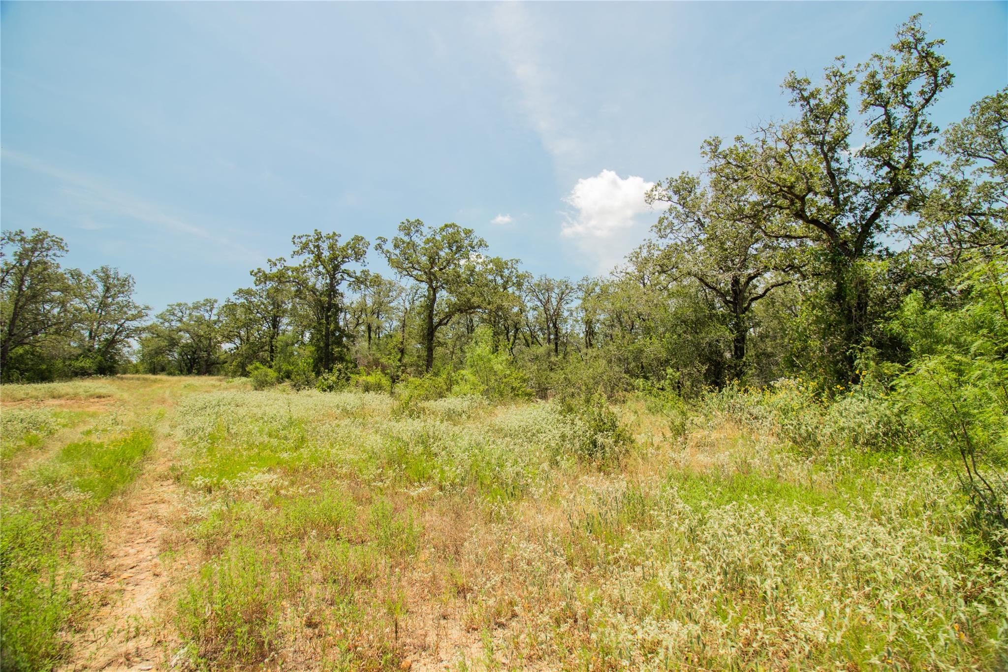 2564 Bluestem Crest Lane Kingsbury TX 78638