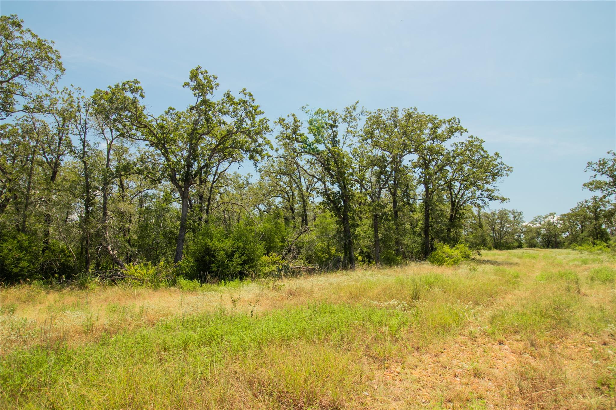 2564 Bluestem Crest Lane Kingsbury TX 78638