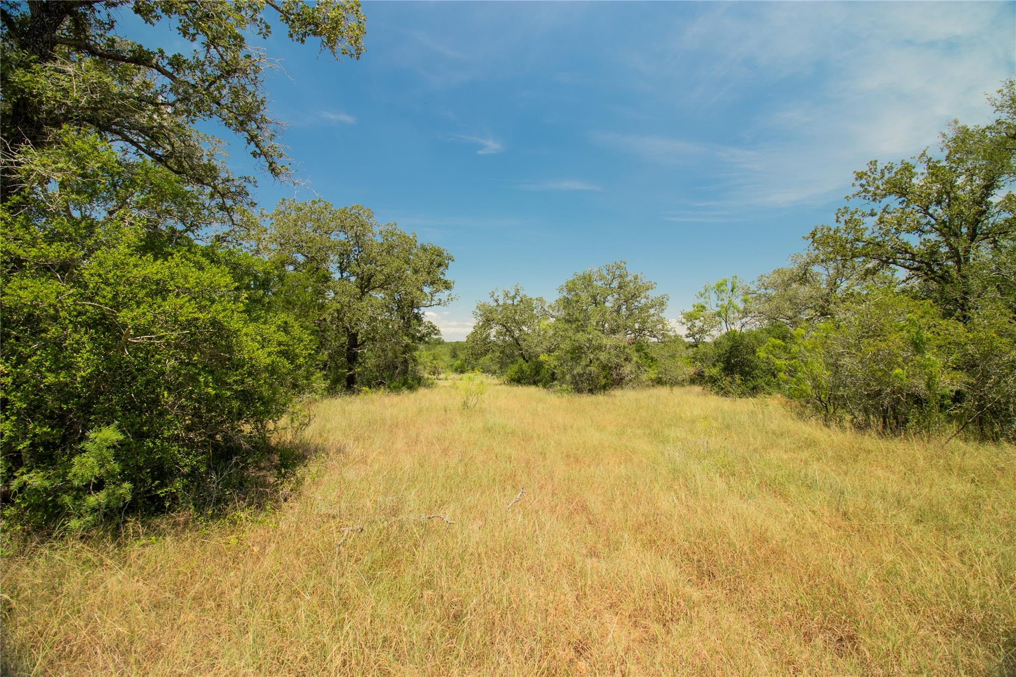 2564 Bluestem Crest Lane Kingsbury TX 78638