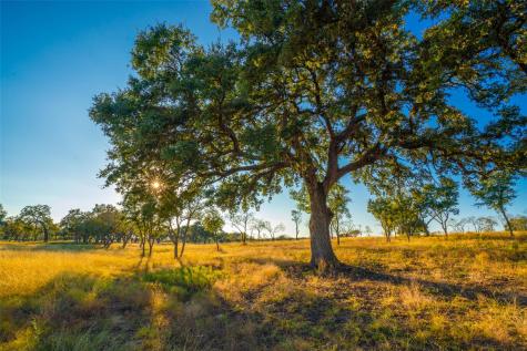 0 Golden Hour Ranch Johnson City TX 78636