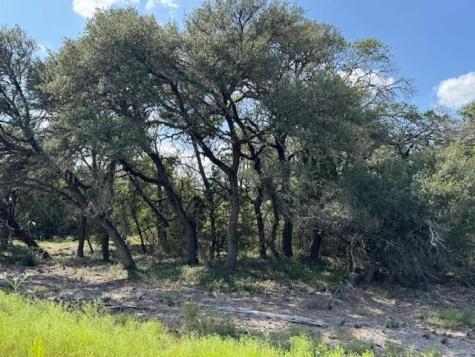 Lot 23 Rifle Ridge Burnet TX 78611