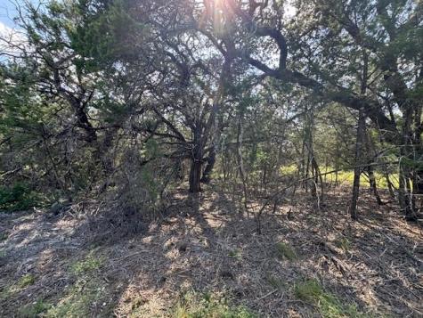Lot 23 Rifle Ridge Burnet TX 78611