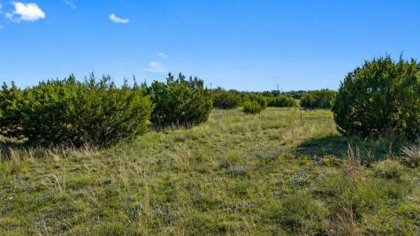 386 Appaloosa Run Johnson City TX 78663