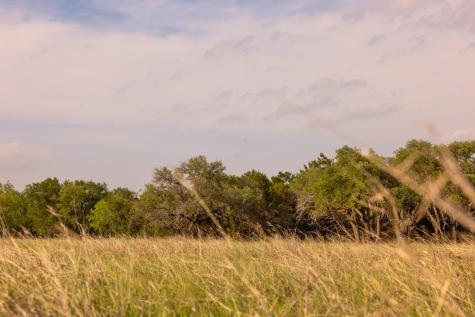 2609 Prochnow Road Dripping Springs TX 78620