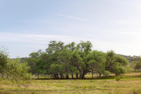 2609 Prochnow Road Dripping Springs TX 78620
