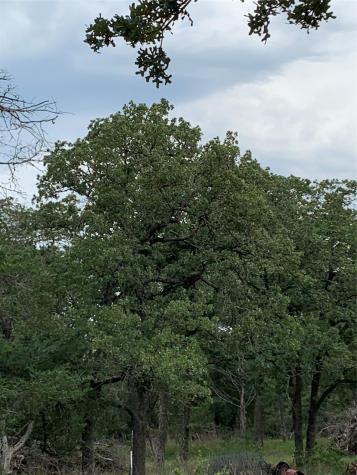 276 Ott Road Rosanky TX 78953