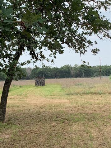 276 Ott Road Rosanky TX 78953