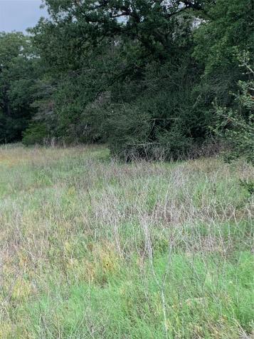 276 Ott Road Rosanky TX 78953