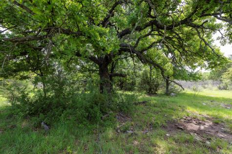 525 Jack Rabbit Circle Zephyr TX 76890