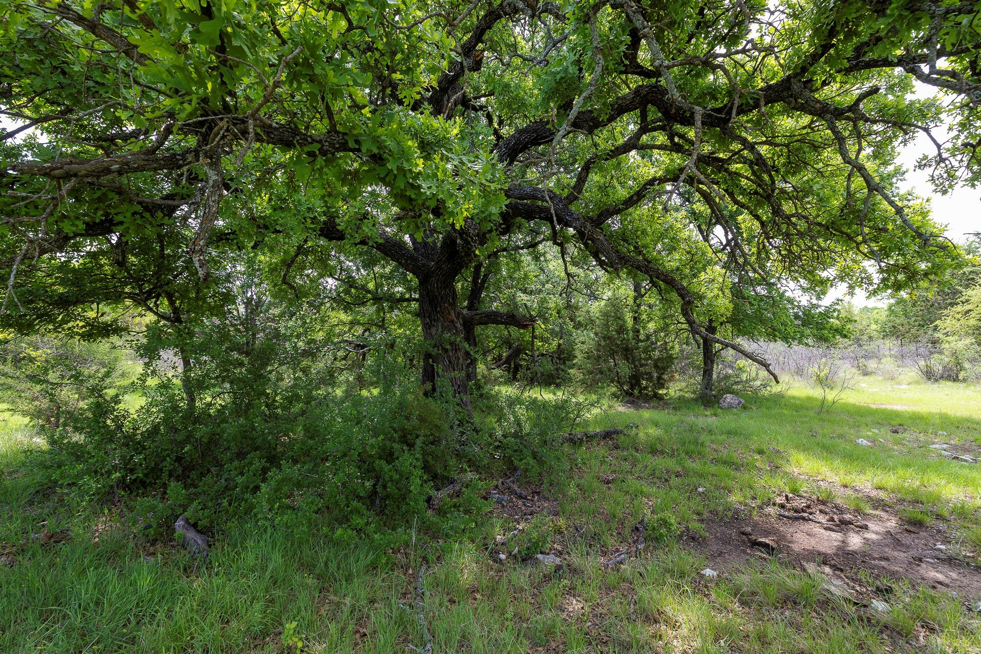525 Jack Rabbit Circle Zephyr TX 76890