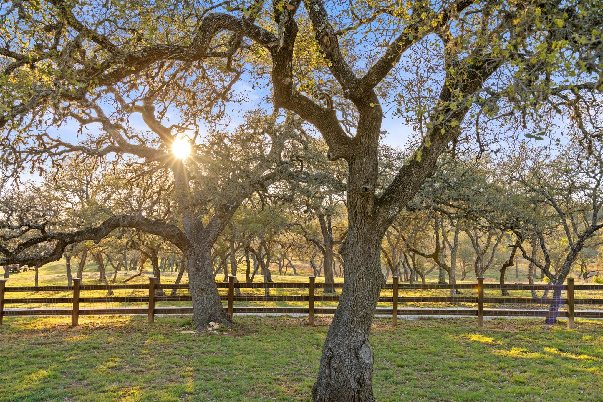 4827 Maenius Road Blanco TX 78606