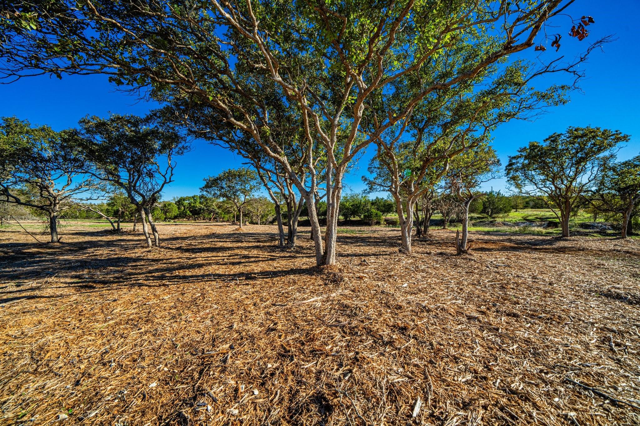Tbd Fm 2843 Salado TX 76571