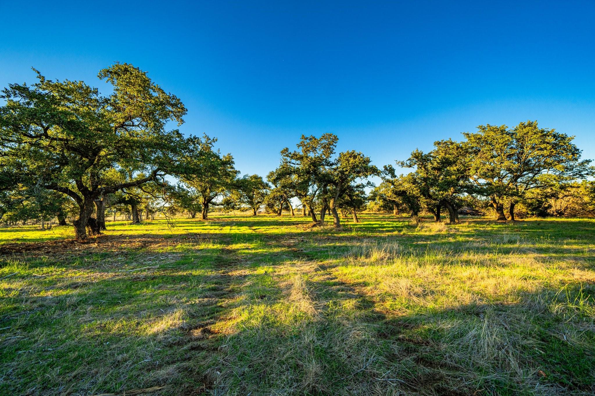 Tbd Fm 2843 Salado TX 76571
