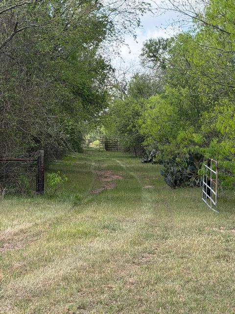1235 Hoover Street Luling TX 78648
