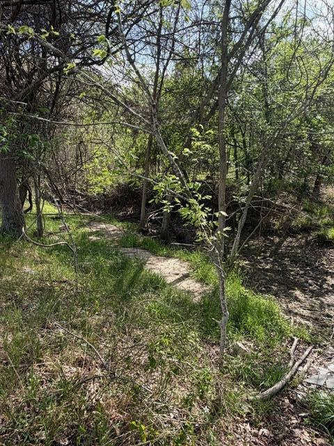 1235 Hoover Street Luling TX 78648