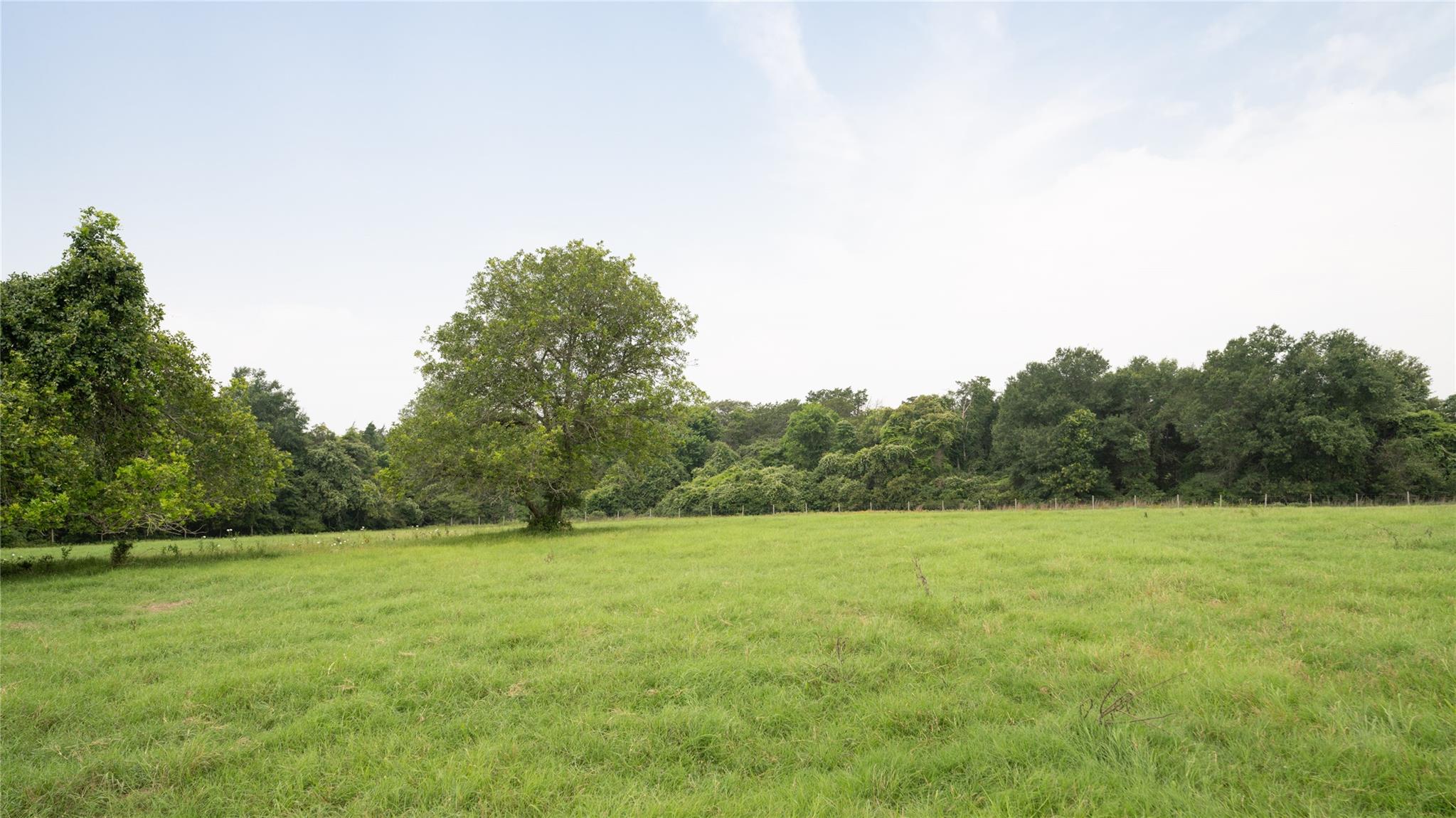 0000 Cr 316 Caldwell TX 77836