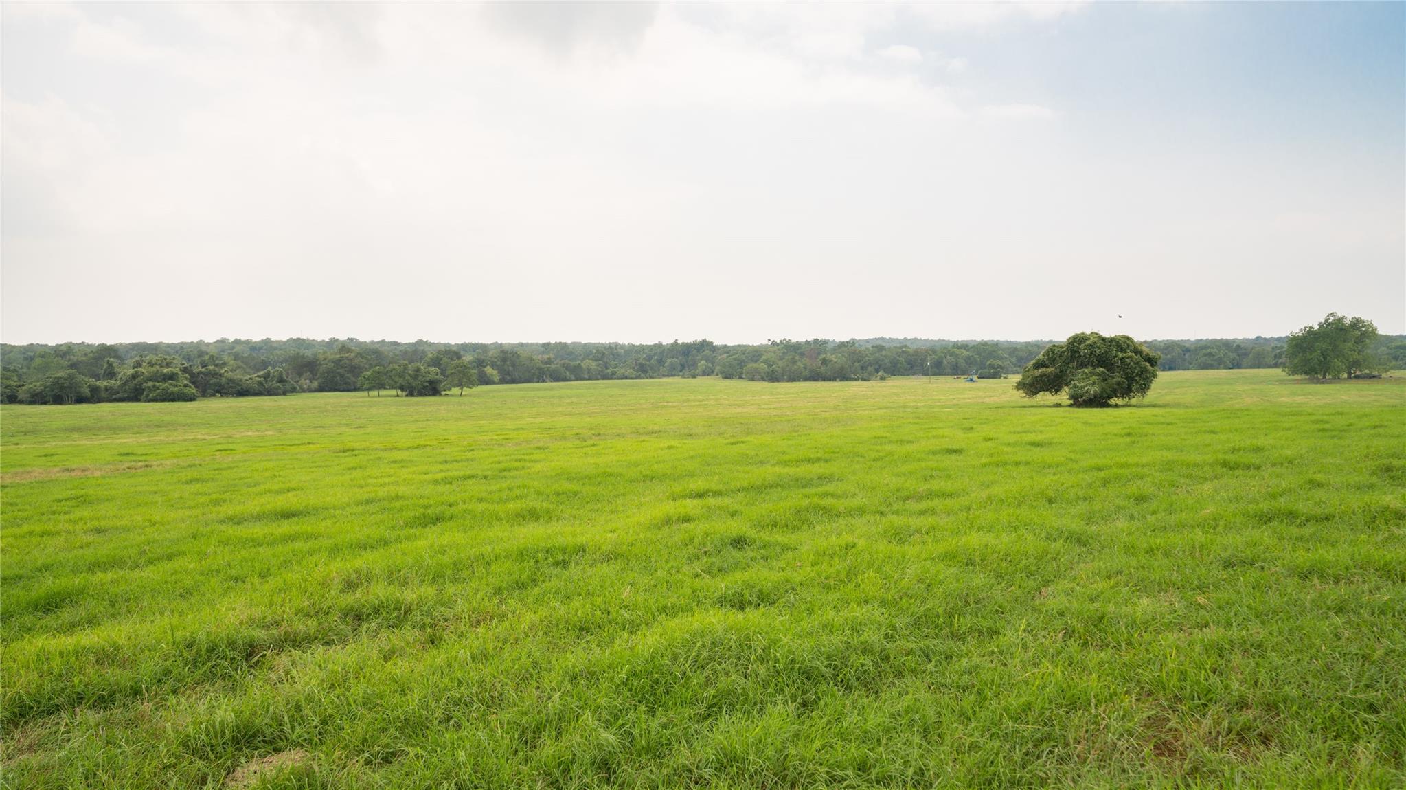 0000 Cr 316 Caldwell TX 77836