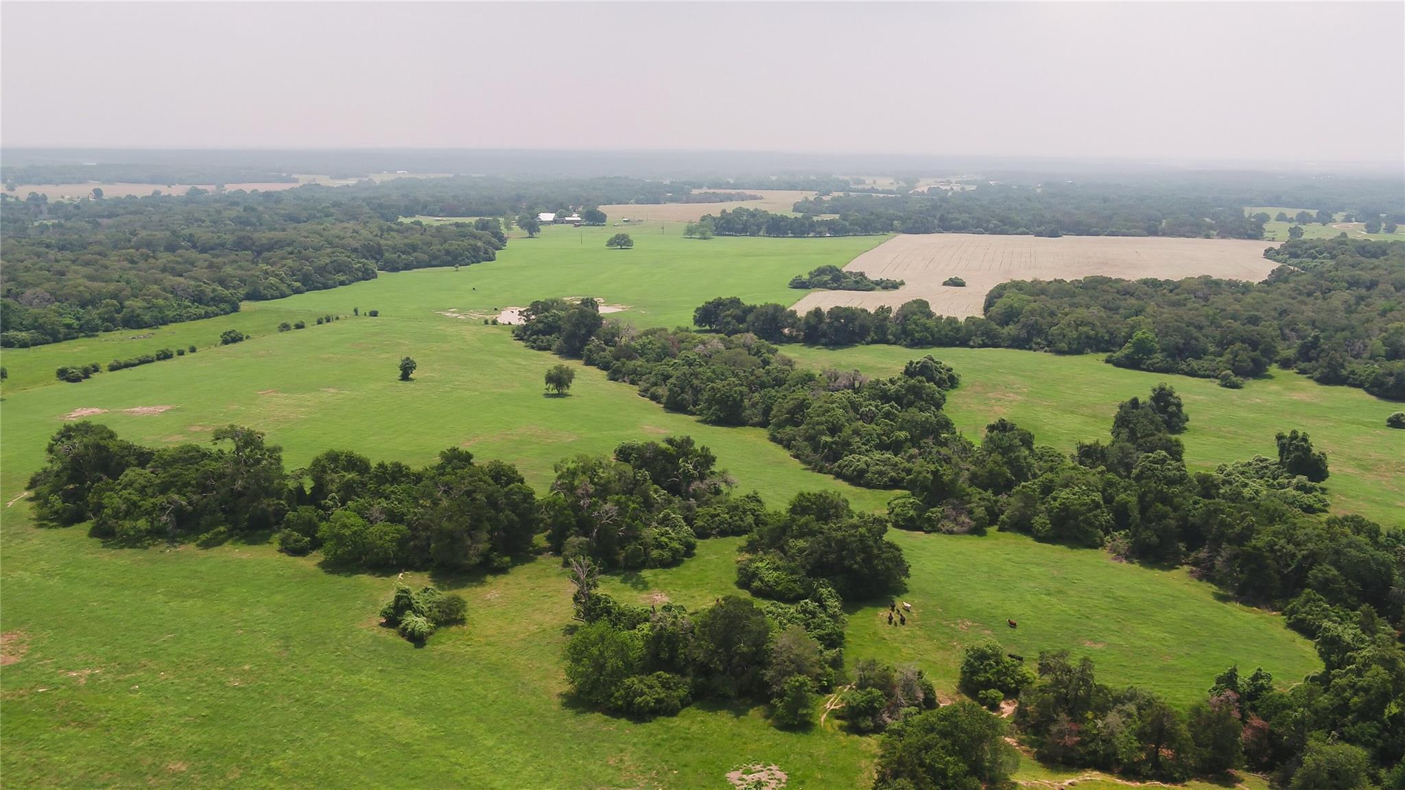 0000 Cr 316 Caldwell TX 77836