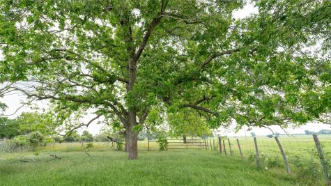 0 Cr 316 Caldwell TX 77836
