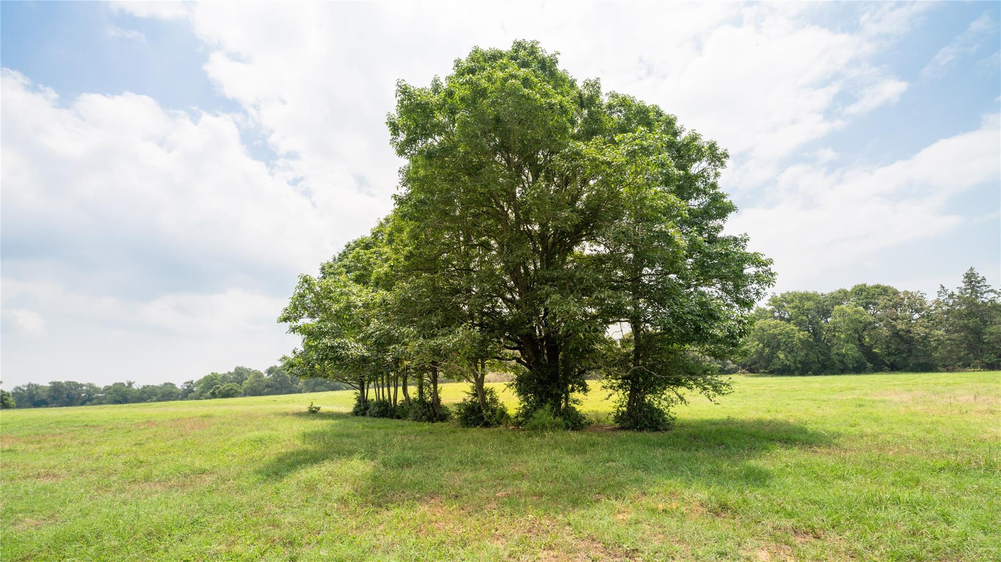 0000 Cr 316 Caldwell TX 77836