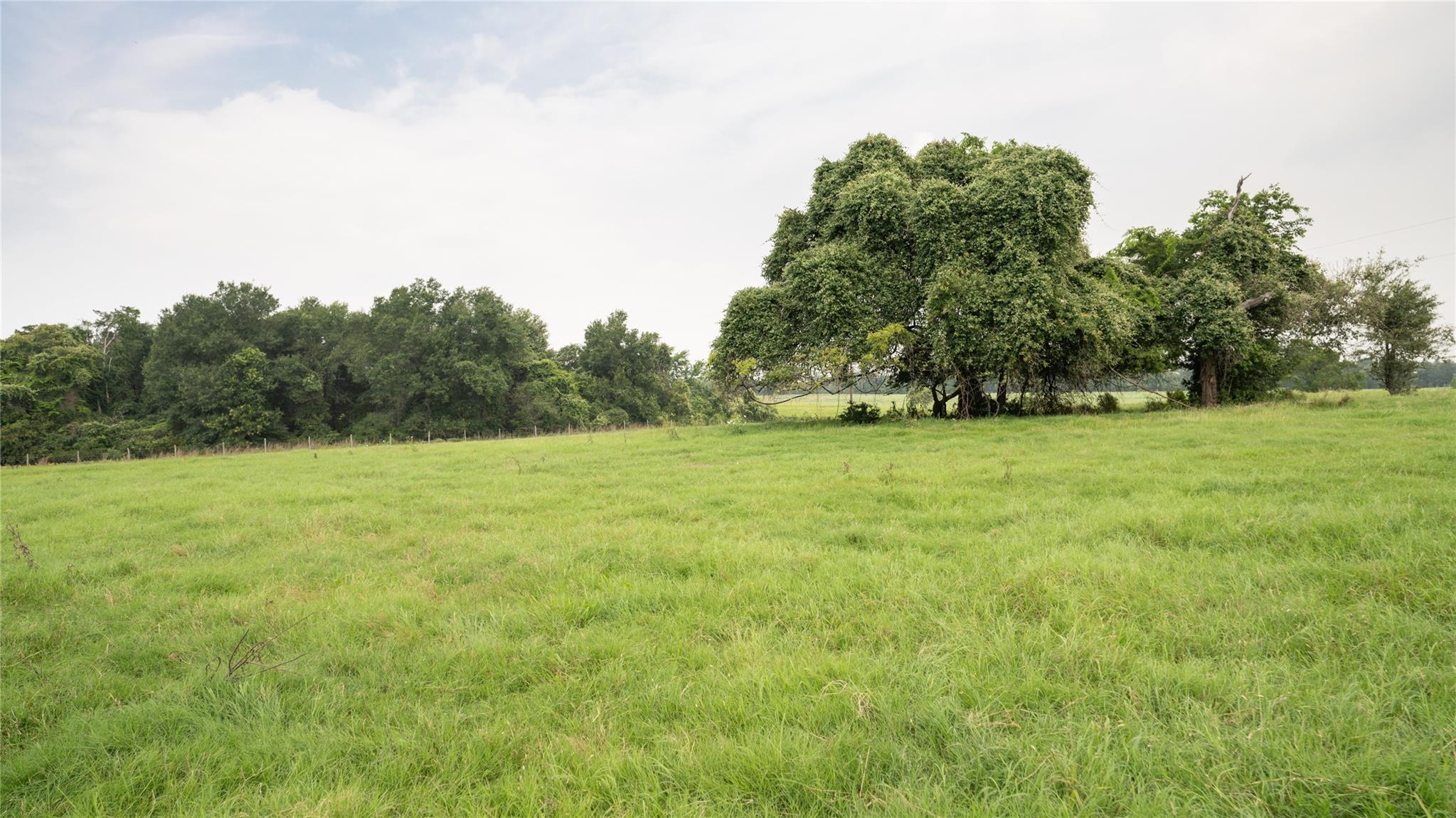 0000 Cr 316 Caldwell TX 77836