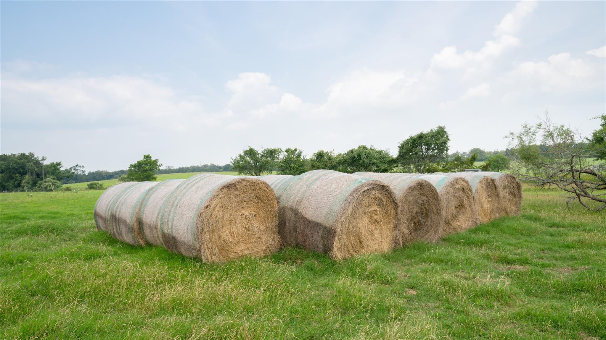0000 Cr 316 Caldwell TX 77836