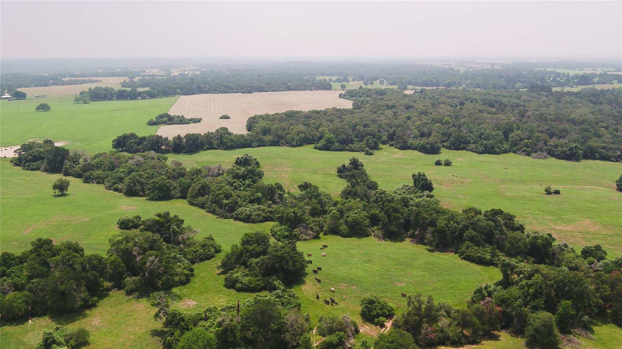 0000 Cr 316 Caldwell TX 77836