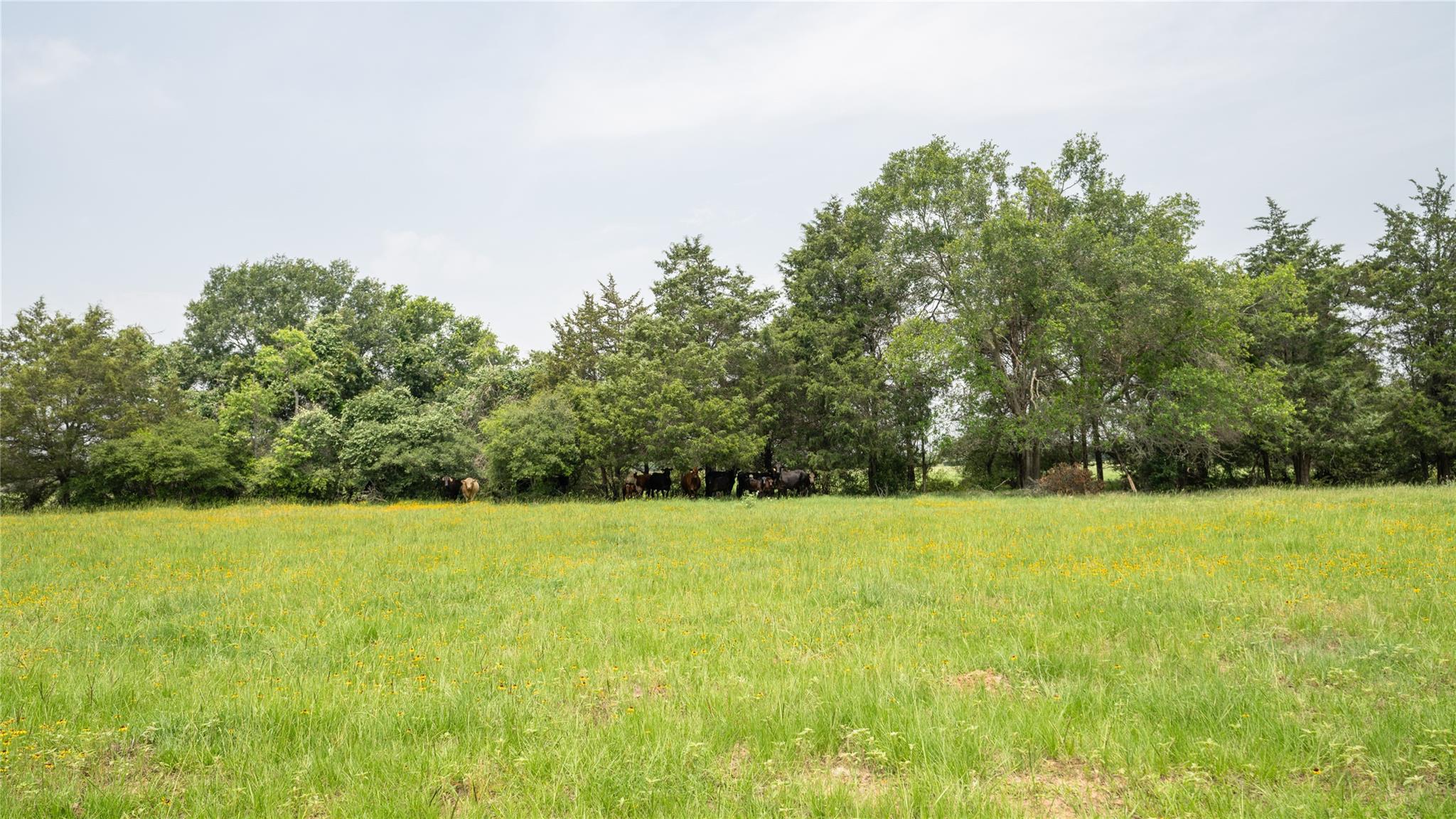 0000 Cr 316 Caldwell TX 77836