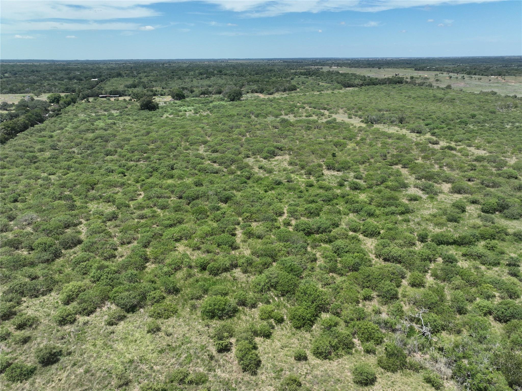 Tbd Lot 13 Young Lane Lockhart TX 78662