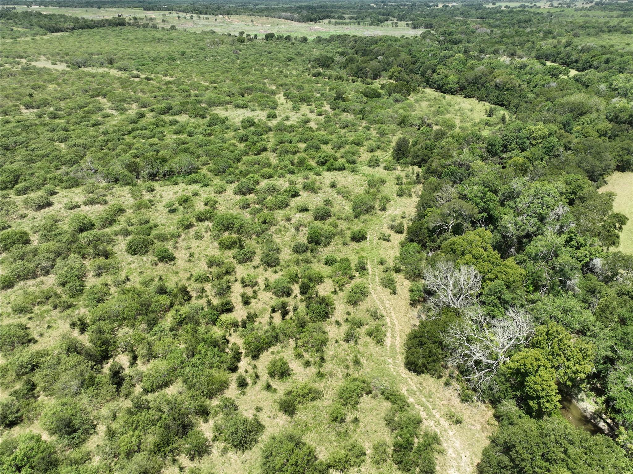 Tbd Lot 13 Young Lane Lockhart TX 78662