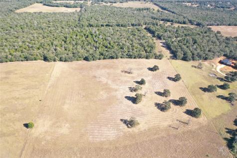 2055 Cr 481 Tract 1 Thrall TX 76578