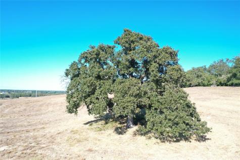 2055 Cr 481 Tract 1 Thrall TX 76578