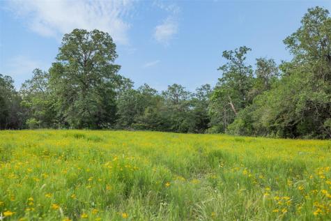 Tbd County Road 459 Road Thorndale TX 76577