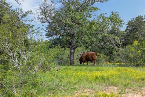 Tbd County Road 459 Road Thorndale TX 76577