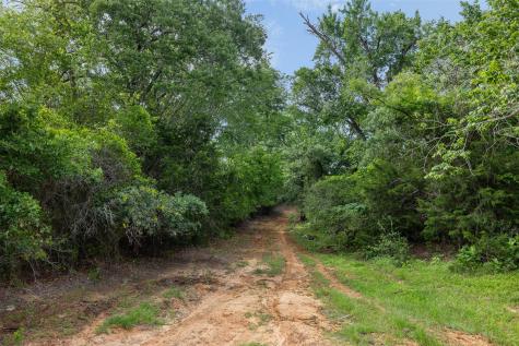 Tbd County Road 459 Road Thorndale TX 76577