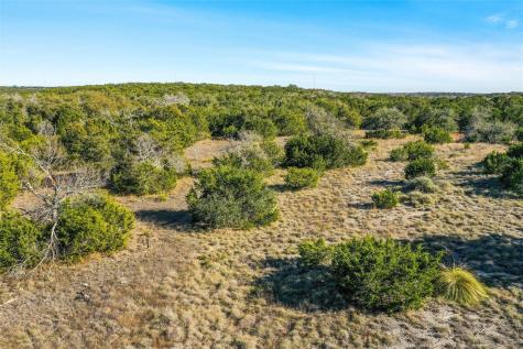 10107 Davy Crockett Drive Dripping Springs TX 78620