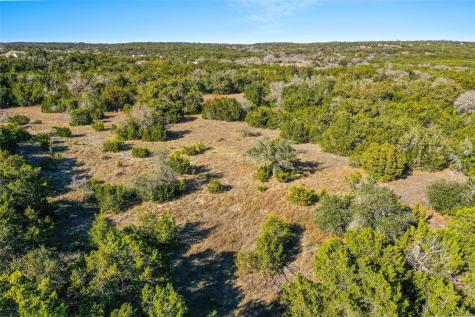10107 Davy Crockett Drive Dripping Springs TX 78620