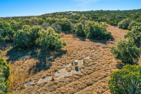 10107 Davy Crockett Drive Dripping Springs TX 78620