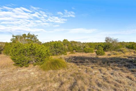 10107 Davy Crockett Drive Dripping Springs TX 78620