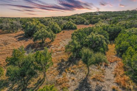 10107 Davy Crockett Drive Dripping Springs TX 78620