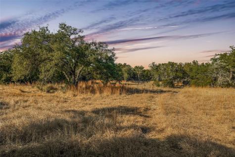 10107 Davy Crockett Drive Dripping Springs TX 78620