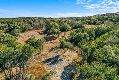 10107 Davy Crockett Drive Dripping Springs TX 78620